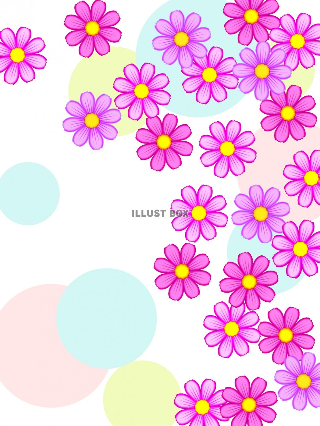 コスモスのお花模様壁紙シンプル背景素材イラスト　