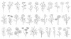 花のベクター線画イラストセット