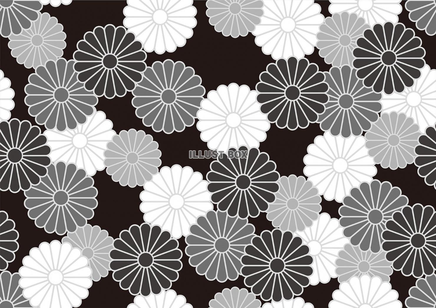 縦横両方向にシームレスなモノクロームの和柄パターン「菊紋」