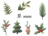 冬のクリスマスの飾りになる植物セット