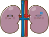 不健康な腎臓のキャラクター