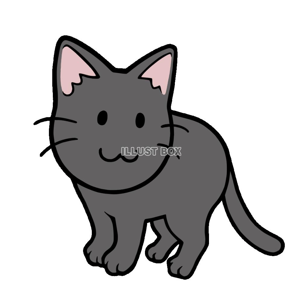 立っている猫ふりむき　黒猫