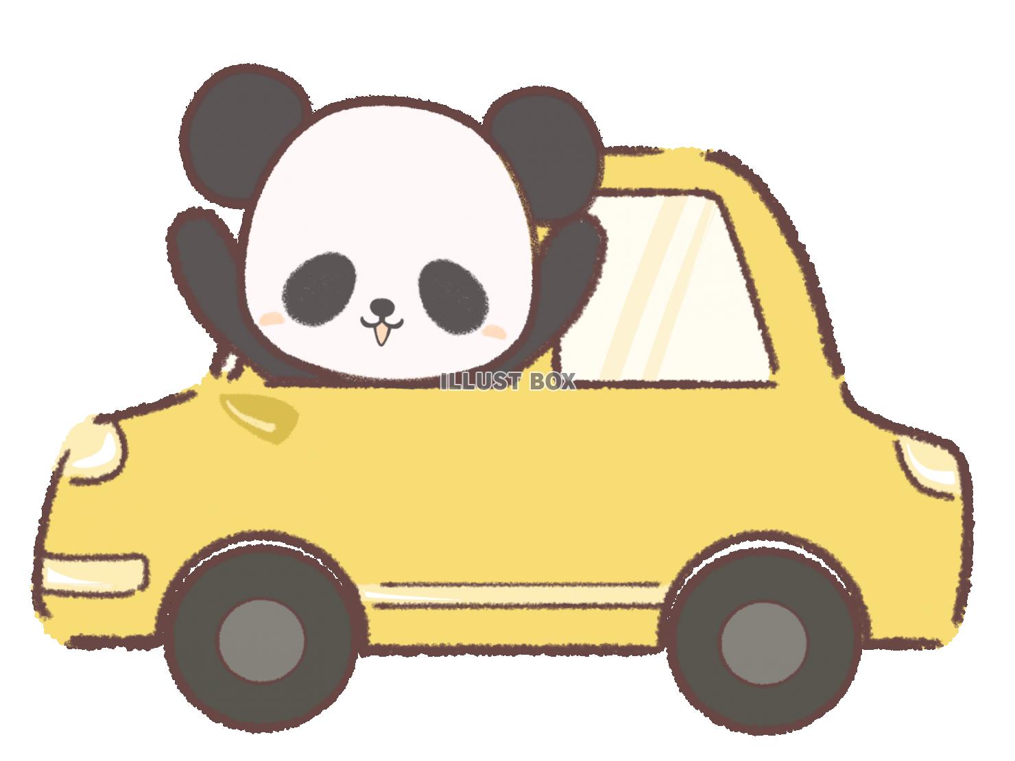 黄色い車からのぞくパンダのイラスト