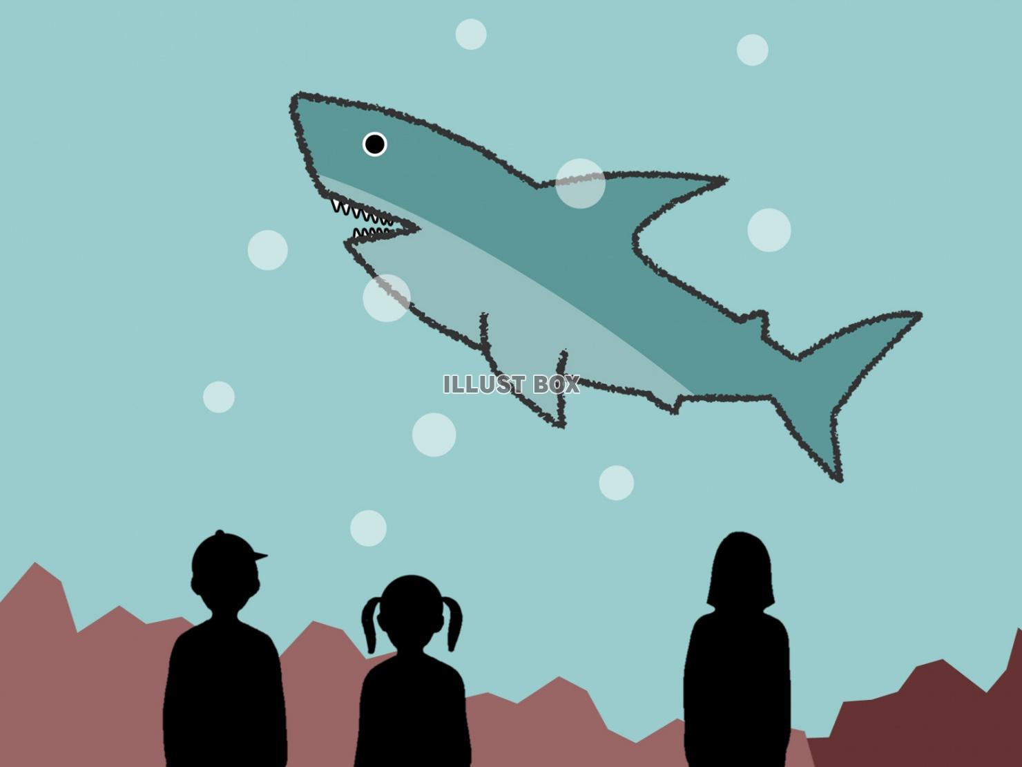 水族館の鮫のイラスト素材シンプル背景画像