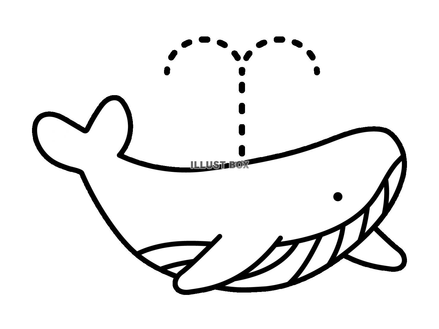 クジラの白黒イラスト