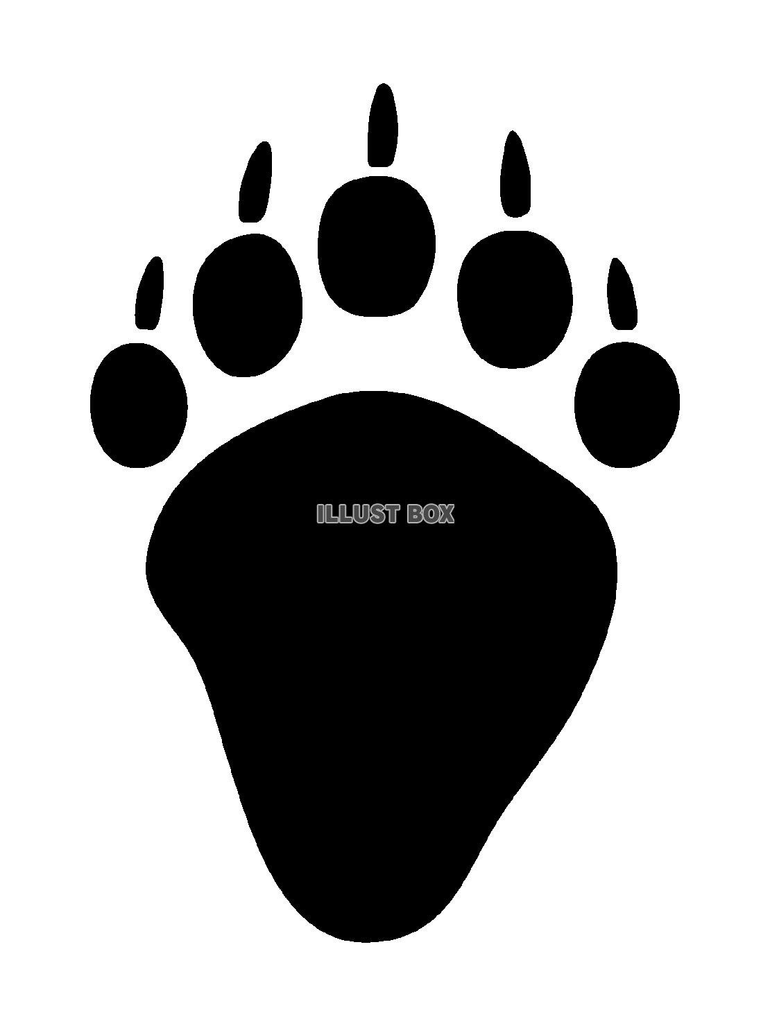 クマの後ろ脚の足跡のイラスト