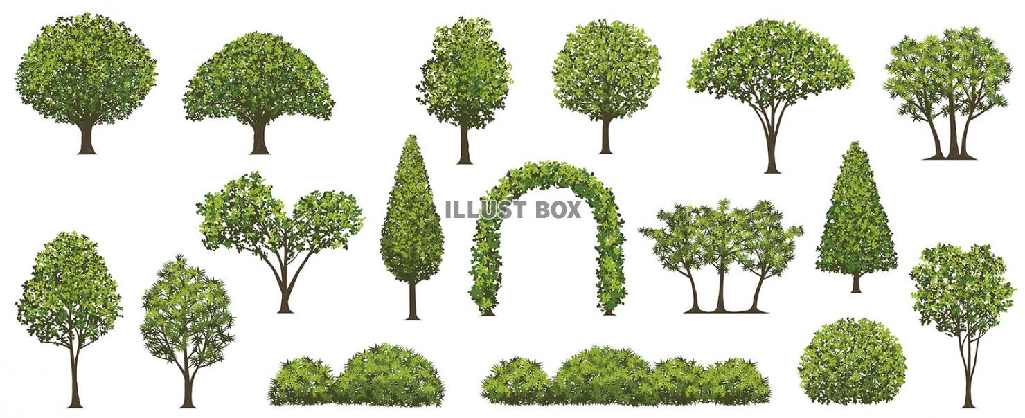 色々な樹木のイラストセット