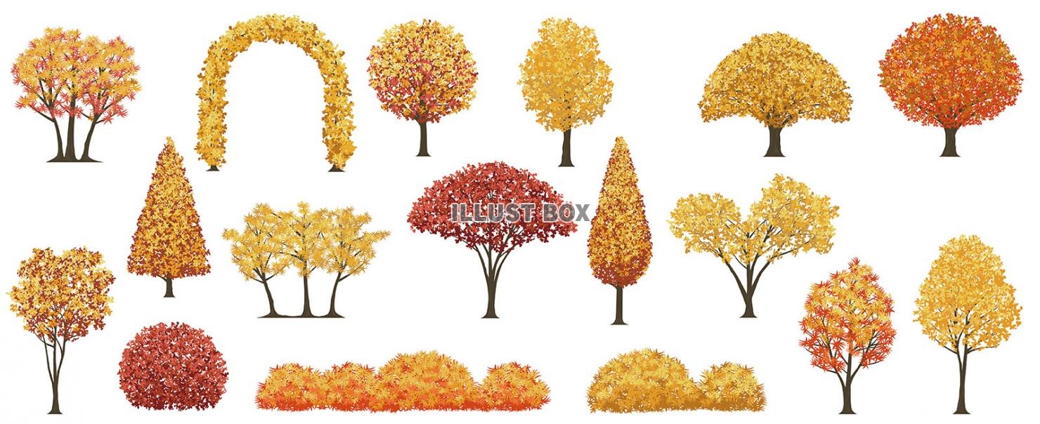 紅葉の樹木のイラストセット