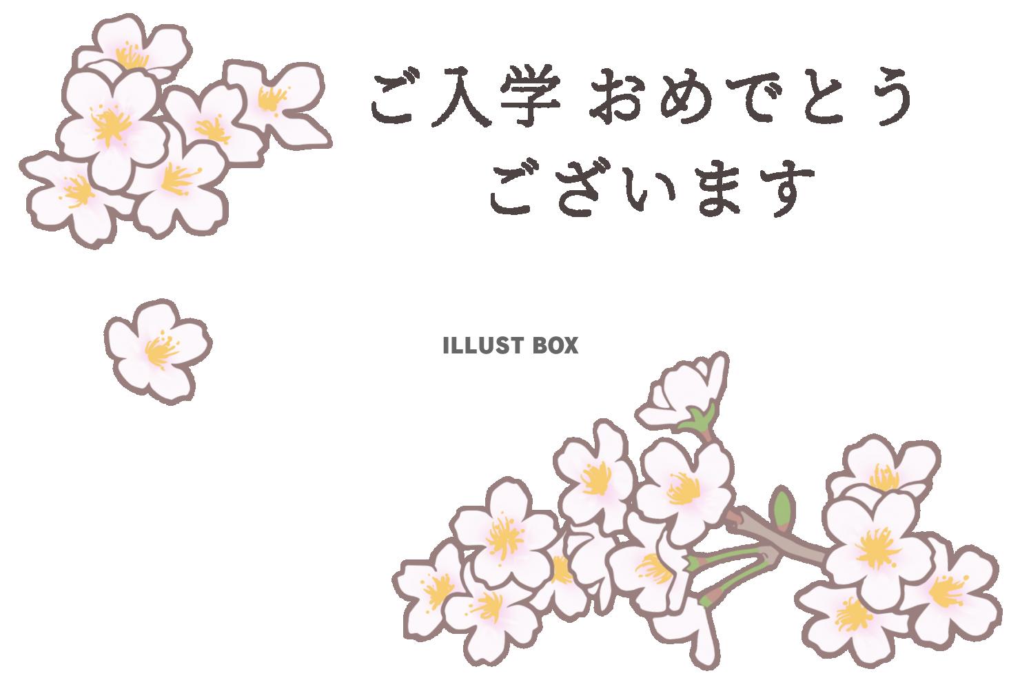 桜のご入学お祝いカード　はがきサイズ横向き