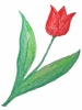 クレヨンで描いたチューリップの花模様イラスト