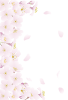 淡桜フレーム（透過PNG）縦横自由