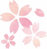 手描き水彩風桜の花イラスト