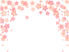 桜と花びらのフレーム