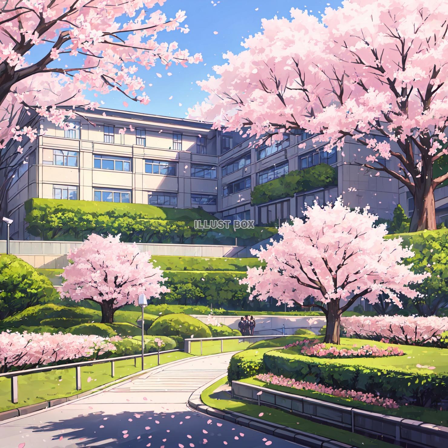 桜の風景イラスト