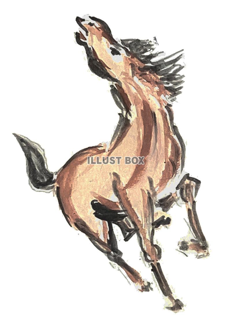 手書きの馬の水彩画