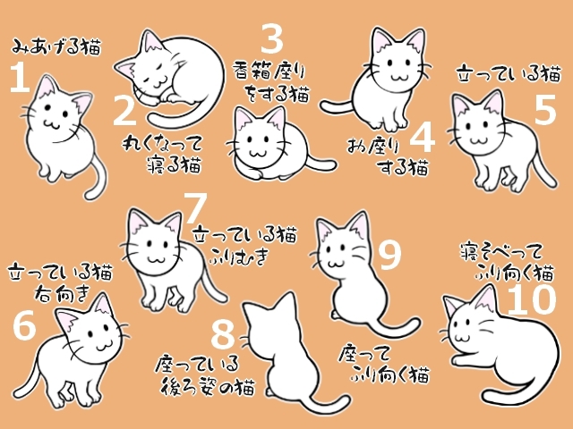 白猫と黒猫のまとめ