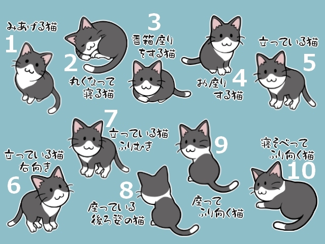 ハチワレ猫と白黒猫のまとめ