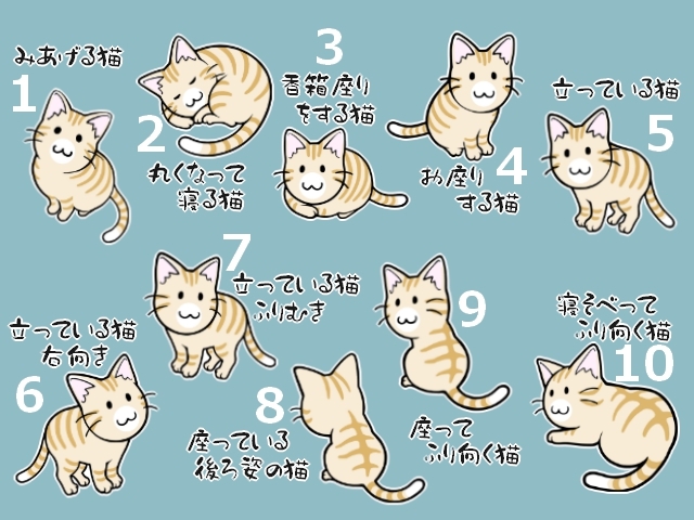 茶トラと茶トラ白のまとめ