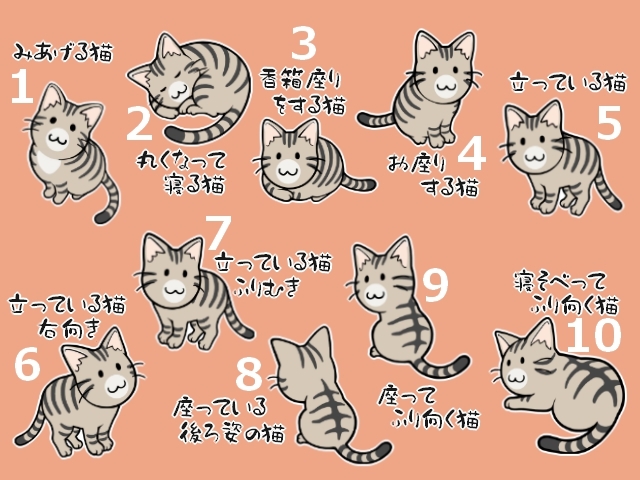 キジ猫とキジ白猫のまとめ