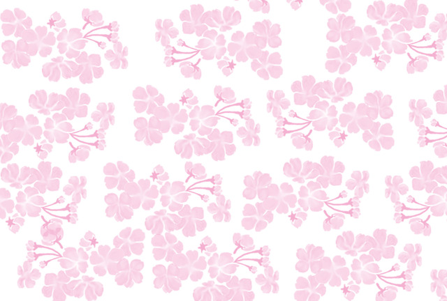 桜の花の壁紙