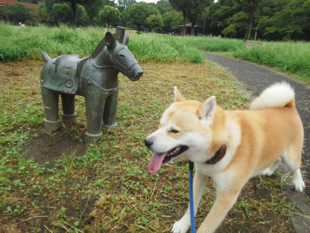 犬と馬？