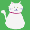 きらきらねこ