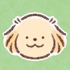 kino_k