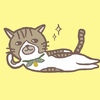 matsukiyo