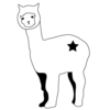 alpaca