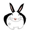 clover.x.rabbit