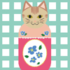 きたはし