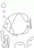 塗り絵