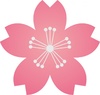 桜の花