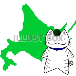 【北海道】猫