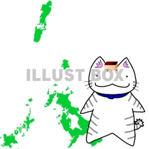 【長崎】猫