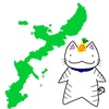 【沖縄】猫