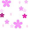 イラスト　桜の花