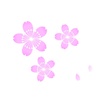 イラスト　桜　スポットライト