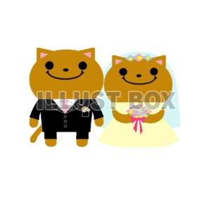 ねこくん　結婚式