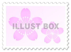 イラスト　桜の切手