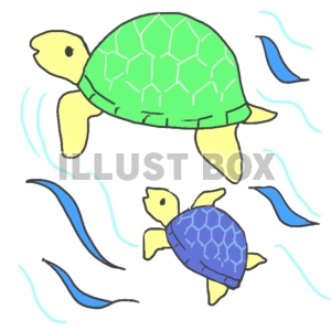 無料イラスト 海の生き物 かめの親子