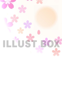 イラスト　夕焼けの桜