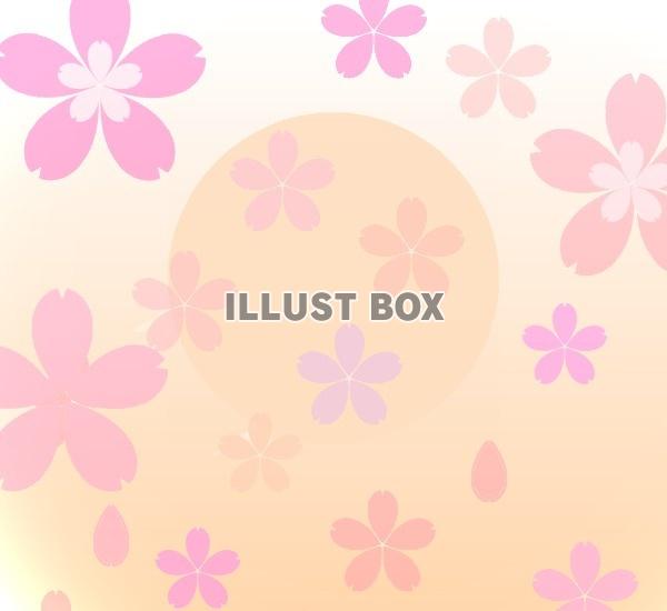 イラスト　夕焼け桜