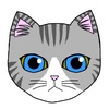 猫　サバトラ