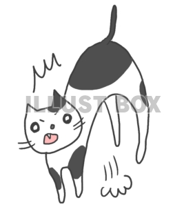 無料イラスト びっくりした猫