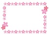 sakura　ベーシック