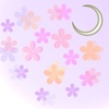 イラスト　夜桜2