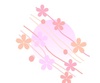 イラスト　桜流線