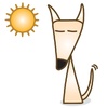 日向ぼっこする犬