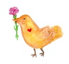 母鳥に贈るカーネーション♪